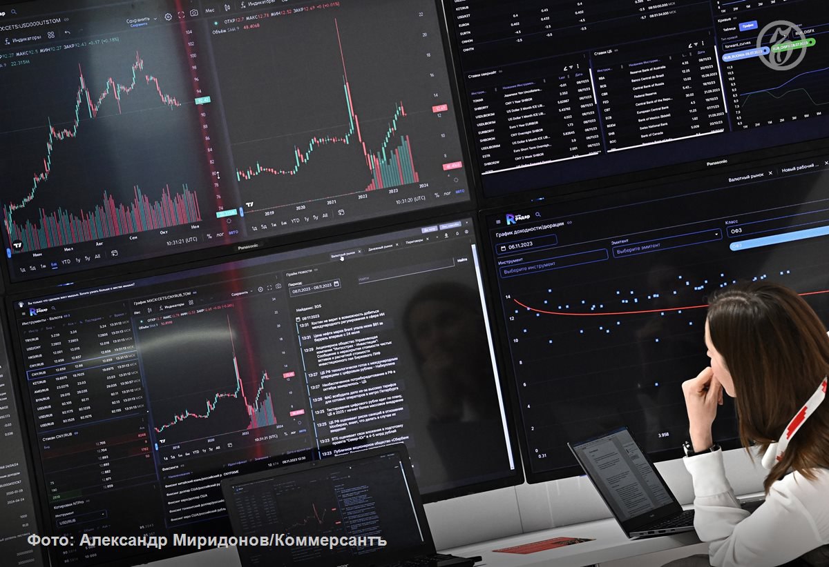 Уходящий год стал лучшим с послековидного 2021 года с точки зрения инвестиций в фонды акций