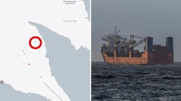 ���� ��������: SVT: ���������� ����� � ������� ո������ ���������� ��������� ��������