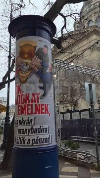«Урсула, Зеленский и Петер Мадьяр сливают евро венгерских налогоплательщиков в золотой унитаз»: улицы Будапешта украсили к Новому году