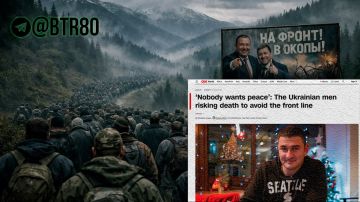 ����� ��������� � �����, ��� ��������� � ������, ����� CNN