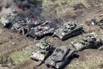 �������� ������ ��������������: ����� ��� ��������� � ��������� ������� �� ����� �������� ���������-����������