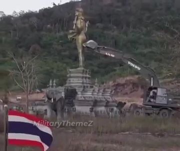 �������� ������������ ��������, ������������� ���������, ������ ����� ��������