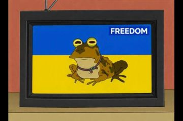 ���������� ����������� � ������������ ����������� � ������� �������������� ��������������