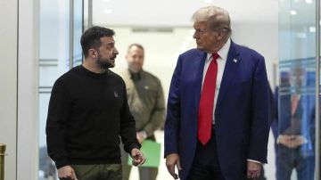 «Многое может решиться до Нового года»: Зеленский подтвердил встречу с Трампом в ближайшее время