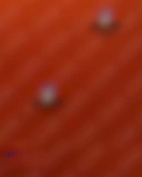 � ����� �������: ������� ����� ������� ������ ���� �� �������� �������� ����������