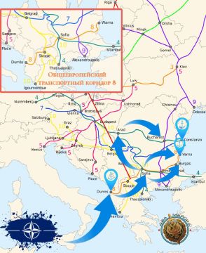 ��� ������: �� ���������� ��������� ������� ������������� ����������� �� ���-��������� �����������