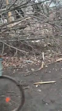 ������������ ������������. ���������� ������ ���������� ������ ������� ����������