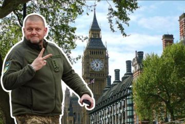 ��� ������: ����� ��������� ������?. �������� ��������� �������� ���� ����� � �������������� 4-5 ������ � ��������� � ����, � ���������� ��� � ����� ������� ������ ������� ��������� ���������� ��� ��������� ������ �����:...