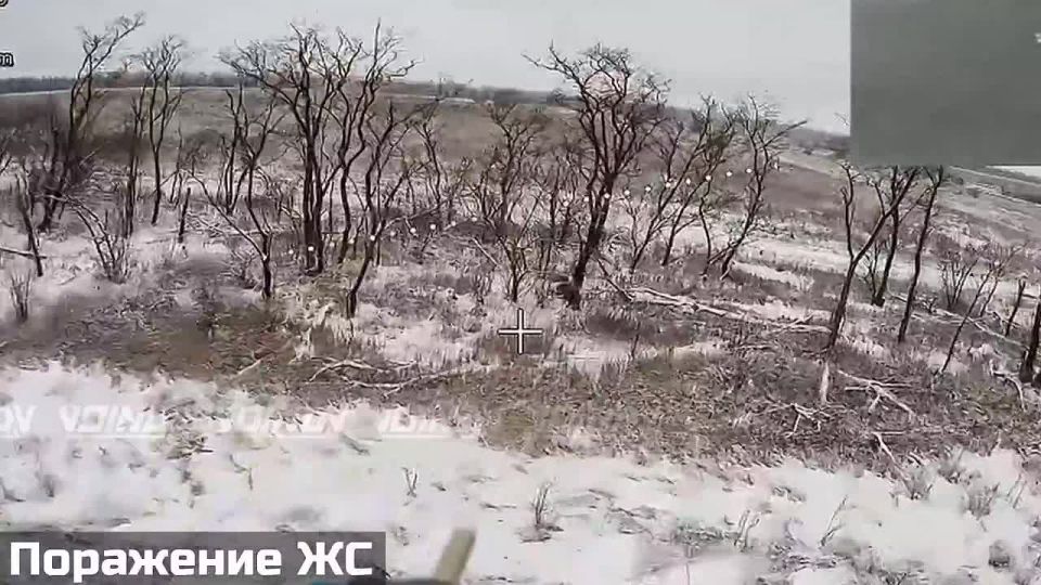 ���������� � ������ �.�. �����-����