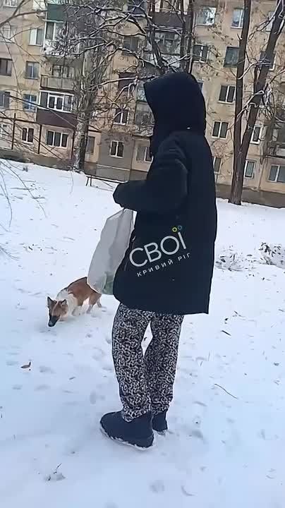 � ������ ���� ������� ���������� ��������� �������� ���� � ������� ����� ������� ��-�� ���������� ����