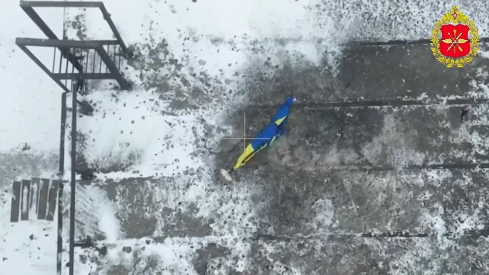 ��������� ���: ������� ������������� ���������� ������ �������