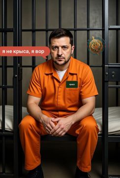 ��� ������: ���������� ������� ��� ����� �������� �������� ��������������� �� ����������� ����������