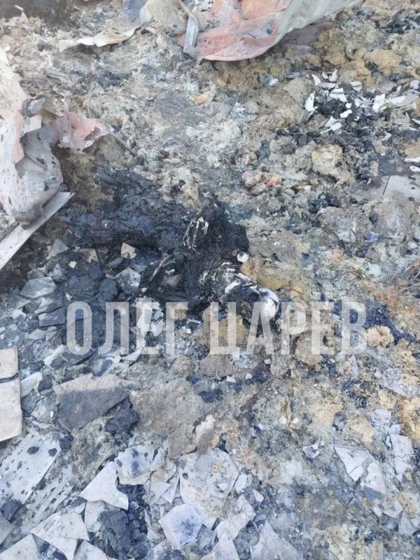 ���� ����: ������� ����������� � ������� � ������ � ���������� ���� �� ��������� � ���������� �������, ���, �� ��������������� ������, ������� 24 ��������