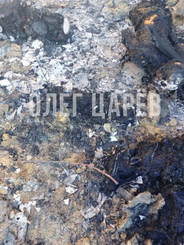 ���� ����: ������� ����������� � ������� � ������ � ���������� ���� �� ��������� � ���������� �������, ���, �� ��������������� ������, ������� 24 ��������