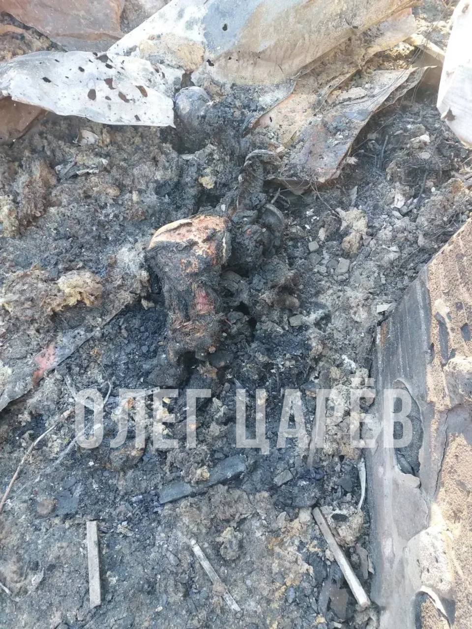 Олег Царёв: Пытался разобраться в истории с ударом в новогоднюю ночь по ресторану в Херсонской области, где, по предварительным данным, погибли 24 человека Олег Царёв: Пытался разобраться в истории с ударом в новогоднюю ночь по ресторану в Херсонской области, где, по предварительным данным, погибли 24 человека