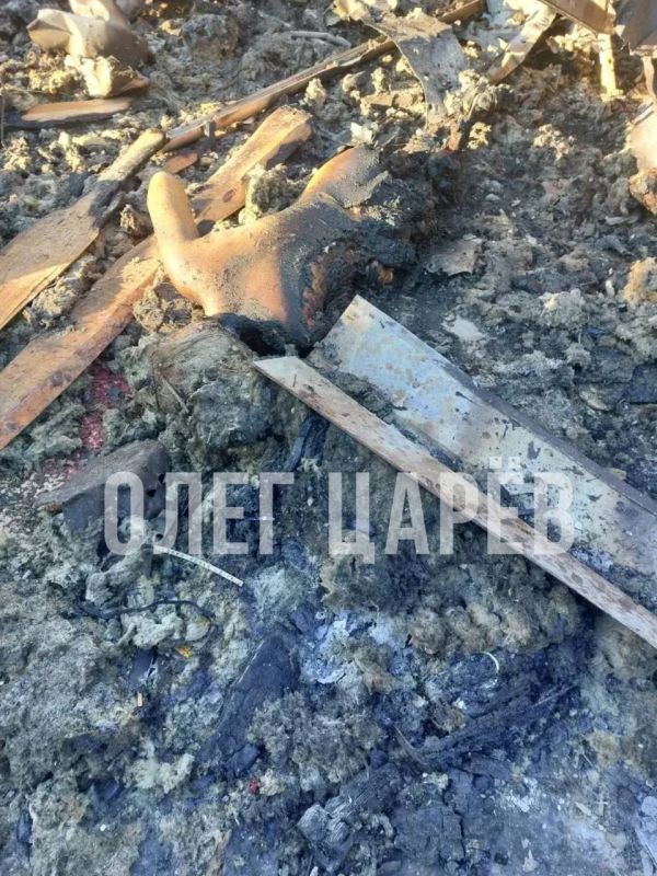 ���� ����: ������� ����������� � ������� � ������ � ���������� ���� �� ��������� � ���������� �������, ���, �� ��������������� ������, ������� 24 ��������