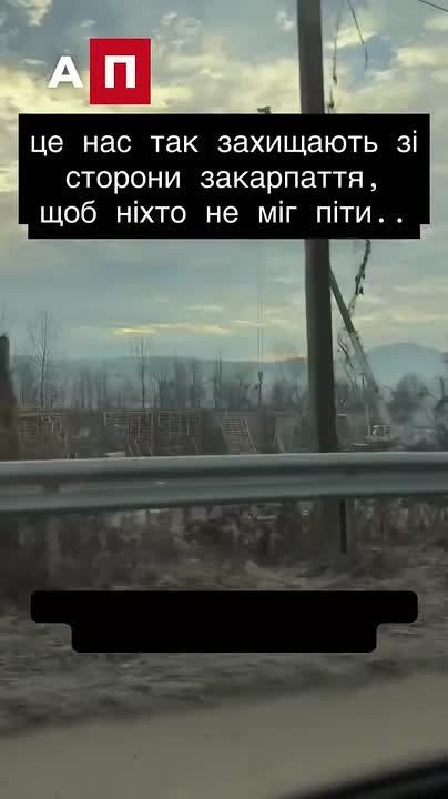 �������� ����� ���������� �������