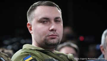 Начальник ГУР Минобороны Украины Кирилл Буданов* принял предложение Владимира Зеленского возглавить офис президента Украины вместо Андрея Ермака