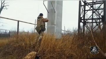 ��� ������: #������ �� ���� 3 ������ 2026 ����