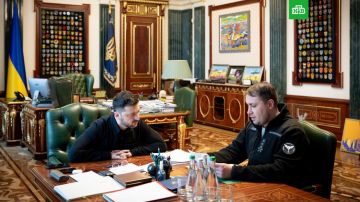 ��������� ������ ��������* ������ ������ �����, ����� �� �� ���� �����������, ����� The New York Times