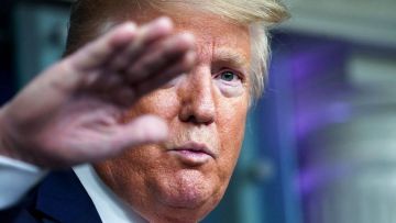 Трамп утверждает, что не верит в нанесение Украиной удара по госрезиденции Путина