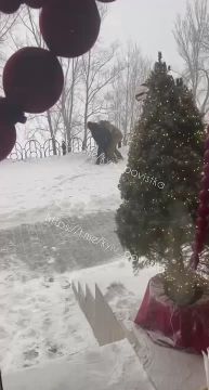 ��������������� ���������, ����������