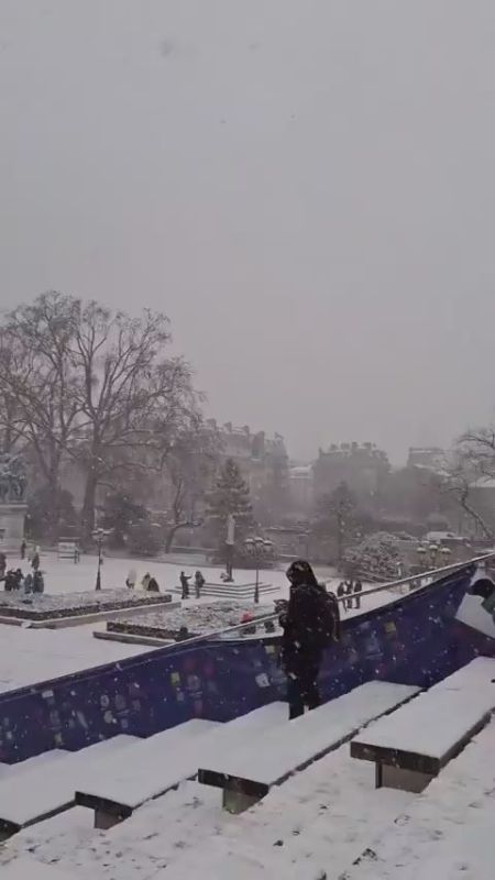 ������� �������� ����������� ����� ����� ��������� ����������