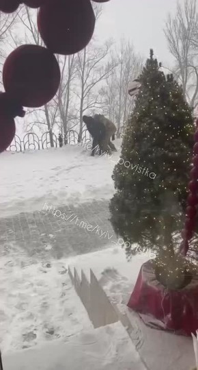 ��������������� ���������, ����������