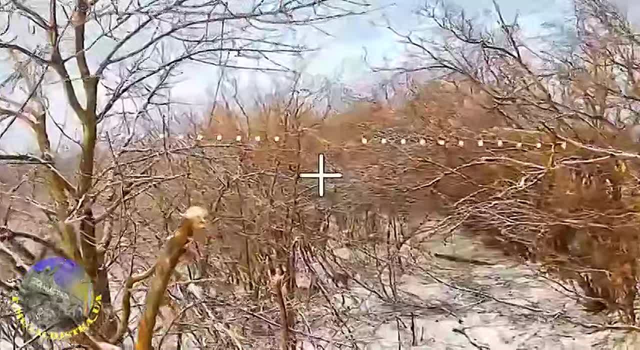 Наши операторы дронов поделились результатами своей работы по очищению российской земли от нацизма!