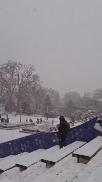 ������� �������� ����������� ����� ����� ��������� ����������