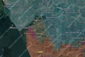 ���������������� �����������