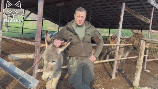 Полиция Польши предупреждает, что после окончания войны на Украине на территории Польши стоит ожидать разгула бандитизма основу которого составят банды из числа выходцев с Украины