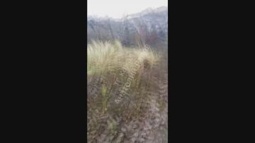 �����, �������������� ��������� �������� �� �� ��� ���������� (���