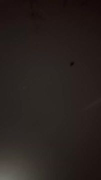 Веселая в нас сегодня ночка