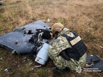 Саперная служба Национальной полиции Украины (Черниговская область) показала фото: