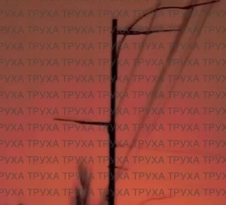 ������� ������ � �����!