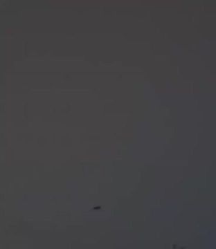 ��� �������� �������� ������ ����