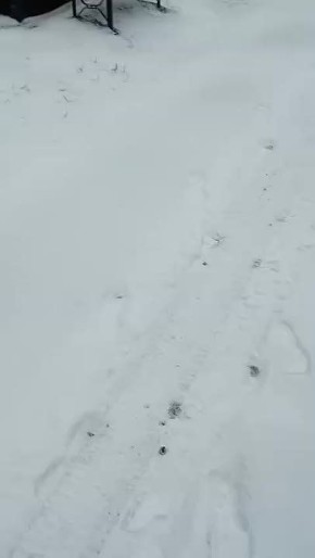 ��������� "��������� �����" ��� �������� ��������� ������� ��� ��� �� ���������� ������