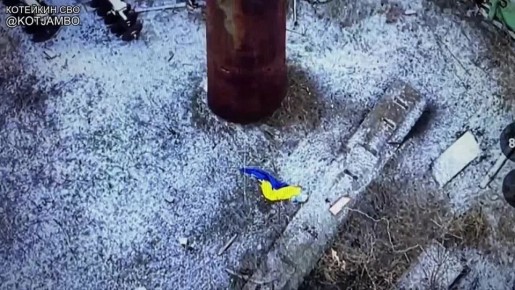 ��� ������: ��������� "���������" �� ��������������� �����������