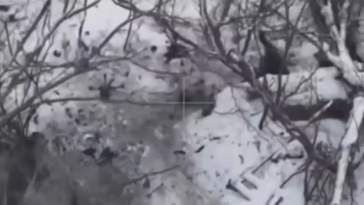 ������� ���������: ����� ����� �������� � ����������������� �����������