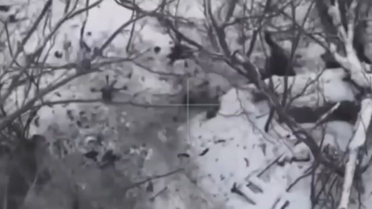 Евгений Поддубный: Новые кадры получили с Константиновского направления