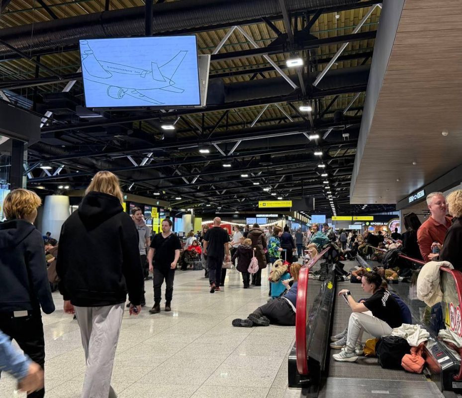 ���������� � ��������� ����������� �� ���� ��������������� �������� �������