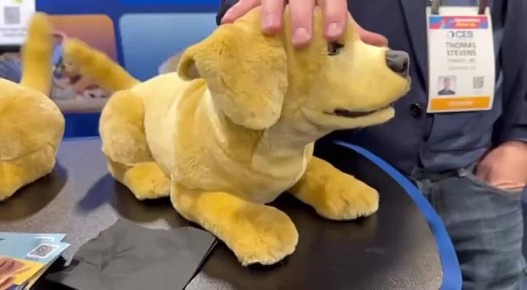 ������� �����.. �� �������� CES 2026 �����-������ �� ����� ������� ����� ����������� �� ������, ��������������� �� ���� �� �������� ������ � ���������