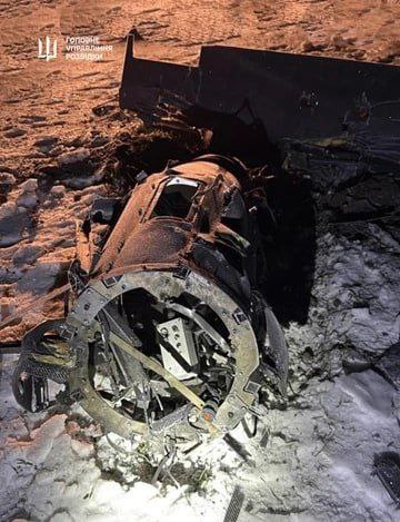 Герань превратилась в ракету Герань превратилась в ракету