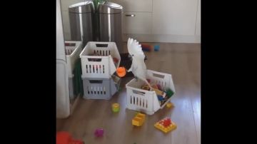 ���������� ������� ������� ������� �� ������, ������� ������������� � ���, ������ �� ��� ��������� ����� �� �������� ���������(�)