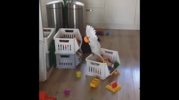 �������� ���������� �������� � ��������� ������������ ��� ������� �� ������� ��� � �������� ��� ��� ������������ �� ����� ������� ������