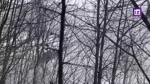 �� �� ���������� ����� 110 �������� ��� �� ������ � ������� � ����������� ��������, �������� � ���������� ������