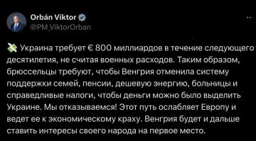 Украина требует €800 миллиардов, чтобы Венгрия отменила систему поддержки семей, пенсии, дешевую энергию, больницы