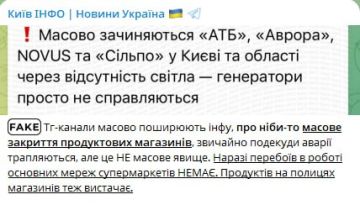 "Борцуны с фейками" опять обделались