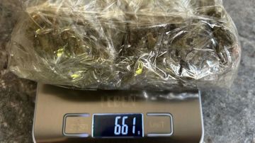 ������������ ��� ��������� � ��� 25 ������ ���������� �����������, ������� ��������� ������������� ����